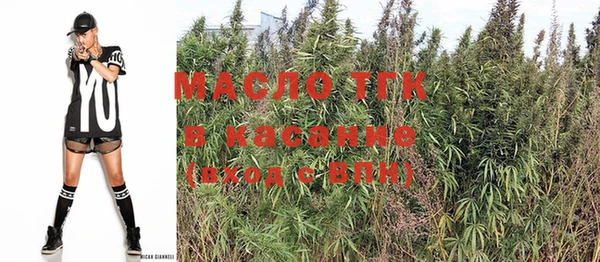 дмт Касимов