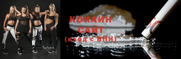дмт Касимов