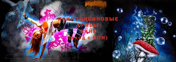 дурь Нея