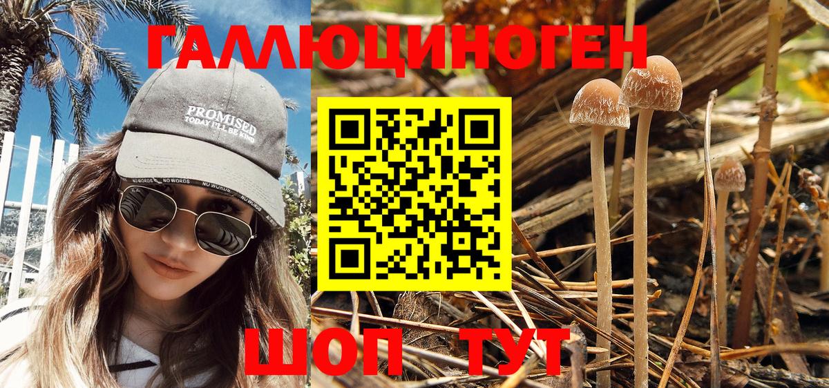 Псилоцибиновые грибы ЛСД  Вход с VPN  Кимры  Галлюциногенные грибы Psilocybe 