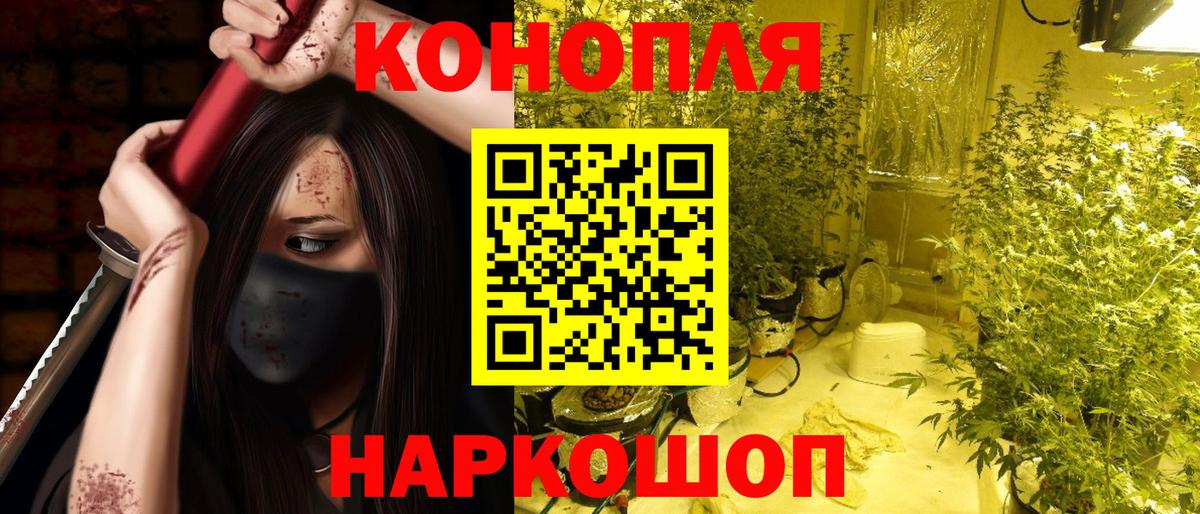 Марихуана семена  Канабис сатива  Вход с VPN  Кимры  Шишки марихуана план 